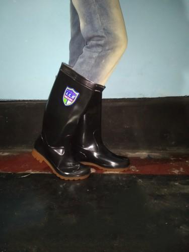 Govaly Product review